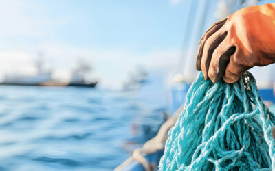 NORSIRK lanserer banebrytende prosjekt for sirkulært havbruk