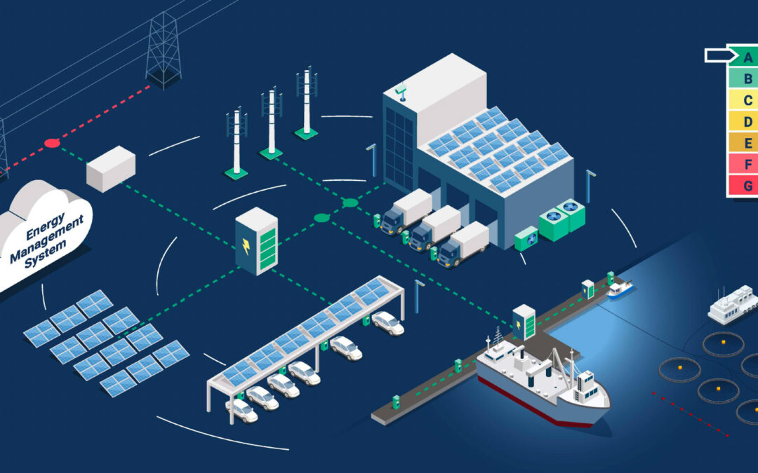 Solar Norge og Enova inviterer til webinar: Fra kostnad til konkurransekraft